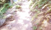 Randonnée Marche Soultzeren - Boucle Schildmatt / Lac vert / Auberge du Tanet - Photo 7