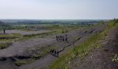 Trail Walking Hénin-Beaumont - Parc des Iles Hennin Drocourt - Photo 9