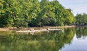 Randonnée Marche Gerpinnes - Balade dans le bois de Loverval - Photo 7