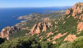 Trail Walking Saint-Raphaël - balade autour du Cap Roux - Photo 3