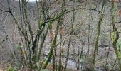 Trail Walking Houffalize - Achouffe 12 Km - Photo 9