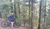 Trail Mountain bike Celles-sur-Plaine - VTT Celles sur Plaine avec Luca et Fab - Photo 10