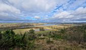 Trail Walking Les Trois Lacs - 20240109-venables - Photo 1