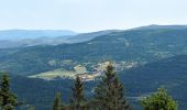 Trail Walking Ranrupt - 2023-06-04 Marche Col de Steige Tour du Climont - Photo 5