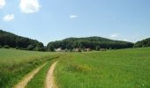 Trail On foot Neukirchen bei Sulzbach-Rosenberg - Rundwanderweg No.4 Neunkirchen - Photo 3