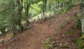 Trail Walking Saint-Jacques-des-Blats - St Jacques des Blats Font de Cere Super Lioran Les Gardes - Photo 5