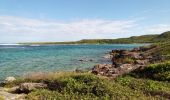 Tour Wandern Le Moule - Anse Petite Savane - Anse à l'Eau 2 - Photo 5