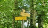 Tour Wandern Compains - lac Moncineyre - Photo 3