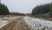 Trail Walking Saint-Hubert - St Hubert monument du roi Albert 281123 - Photo 10