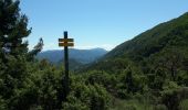 Randonnée Marche Nyons - Montagne de Vaux - Photo 17