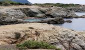 Percorso Sentiero Six-Fours-les-Plages - Île de Gaou - Photo 1