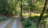 Trail Walking Florenville - Muno et roche à l'appel - Photo 4