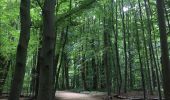 Randonnée Marche Ville de Bruxelles - Bois Cambré et Forest Soignes - Photo 7