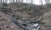 Percorso A piedi Altdorf bei Nürnberg - Wallenstein Rundwanderweg - Photo 6