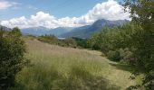 Randonnée Marche Chorges - Serre-Ponçon le 03 06 2024 (Col Lebrault) - Photo 9