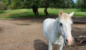 Trail Walking Lasne - autour d'Ohain... - Photo 4