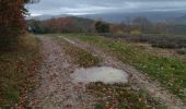 Tocht Stappen Crest - 26 crest zel 14.12.23 pluie - Photo 1