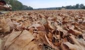 Tour Wandern Le Boulou - Le boulou - Saint Jean pla de corts via le lac  - Photo 9