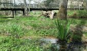 Randonnée Marche Esse - Le sentier de découverte de Paule Lavergne - Photo 8