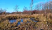 Tocht Stappen Spa - grand tour de la la fagne via chemin didactique - Photo 20