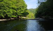 Trail Walking La Roche-en-Ardenne - A la découverte de Maboge 🥾 - Photo 8