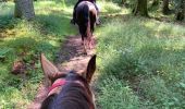 Trail Horseback riding Bertrimoutier - Restaurant belle vue col de sainte marie Tivio  - Photo 3