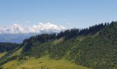 Randonnée Marche Taninges - le haut Fleury - Photo 3