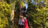 Trail Walking Saint-Fargeau-Ponthierry - Ponthierry Pringy 12-11-2019 - Photo 2
