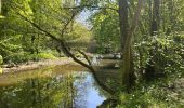 Tocht  Chiny - Entre Vierre et Semois - Photo 1