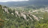 Excursión Senderismo Évenos - Les grès de Sainte Anne d'Evenos - Photo 14