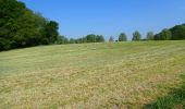 Randonnée Marche Chaumont-Gistoux - #200330 - Gistoux, Inchebroux, Champ des Goffes*** - Photo 4