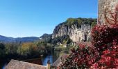 Tocht Mountainbike Beynac-et-Cazenac - VTT 46km - Photo 11