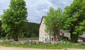 Trail Walking Chanaleilles - COMPOSTELLE J4 - Photo 7
