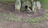 Trail Walking Durbuy - MANE - Wéris - Autour des Mégalithes de la culture de Marne-Seine-oise - Photo 5