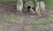 Trail Walking Durbuy - MANE Heritage : Wéris - Autour des Mégalithes de la culture de Seine-Oise-Marne - Photo 5