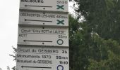Trail Walking Wissembourg - Gr5J1 - Photo 9