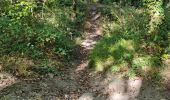 Trail Walking Étréchy - Forêt Régionale d'Etrechy - Photo 9