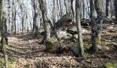 Randonnée Marche Montromant -  Montromant la Croix des brosses (12 km - D. 504 m) - Photo 3