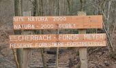 Tour Wandern Baelen - 20220321 - Perkiets 7.2 Km - Photo 2