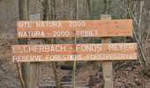 Trail Walking Baelen - 20220321 - Perkiets 7.2 Km - Photo 2