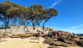 Tocht Te voet Noirmoutier-en-l'Île - Jeun et rando J3 Centre ville plage des dames - Photo 9