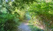 Tour Wandern Ittre - Marche Adeps - Virginal - Photo 3