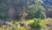 Trail Walking La Vacquerie-et-Saint-Martin-de-Castries - La Vacquerie St Guilhem  - Photo 9