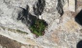 Tour Wandern Plogoff - pointe du Raz - Photo 5