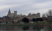 Randonnée Marche Avignon - ile de la Barthelasse - Photo 11