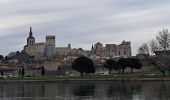 Tocht Stappen Avignon - ile de la Barthelasse - Photo 11