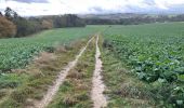 Randonnée Marche Anhée - Maredsous 7 km - Photo 3