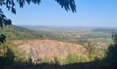 Tour Wandern Sankt Nabor - Anciennes abbayes - Photo 14