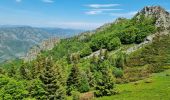 Tocht Stappen La Souche - Rocher d'Abraham par la Tour des Poignets - Photo 2