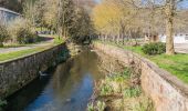 Tocht Te voet Auriac-Lagast - Ronde des lacs du Levezou - Photo 9